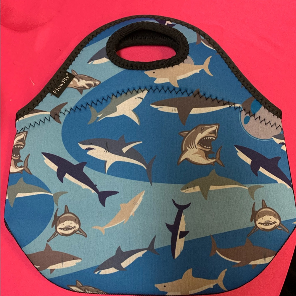 Insulated Lunch Box or Tote